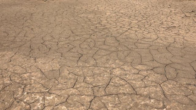 Cracked, parched, dry earth - dried up riverbed landscape, Africa