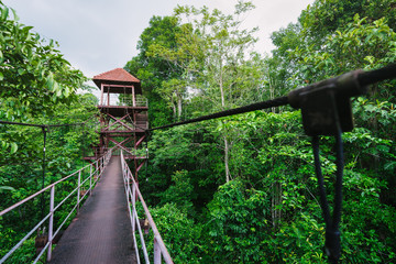 Canopy Walkway in Peninsular Botanical Garden (Thung Khai), Trang province, Thailand.