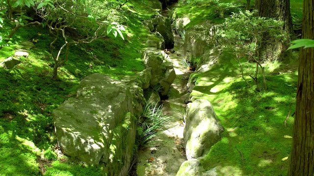 small rivulet flowing in an idyllic moss garden
