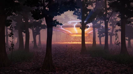 Abwaschbare Fototapete UFO landing in the forest at night, science fiction scene with alien spaceship (3d space illustration) © dottedyeti