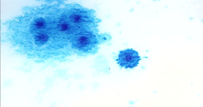 Blue ink drop slashing in water. On white background