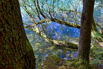 Leopoldsteinersee - Lake Leopoldstein