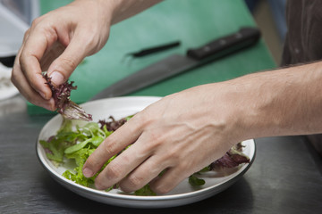 The hands of the chef preparing a salad of greens
