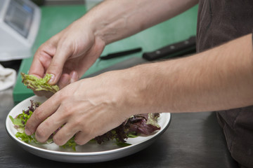 The hands of the chef preparing a salad of greens