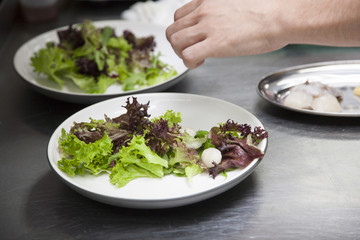 The hands of the chef preparing a salad of greens