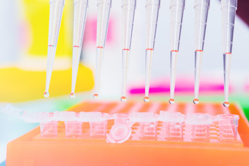 science 8 chanel pipette with drops of DNA Sample over laboratory test tubes. Science and medical...