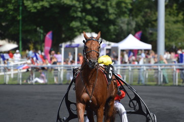 cheval de courses