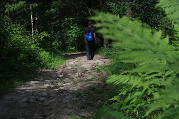 Turysta z plecakiem na szlaku w górskim lesie