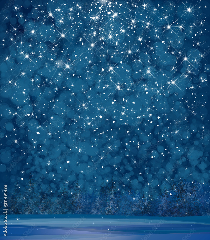 Wall mural vector winter wonderland background. starry night sky and forest background.