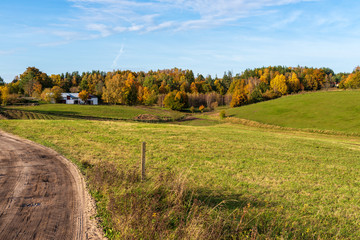Fototapeta premium Beautiful rural fall landscape in sunny day.