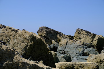 beach rocks