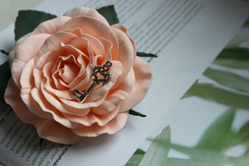 Beautiful picture of vintage silver key on rose Bud, vintage retro style, selective focus.Free space for text.