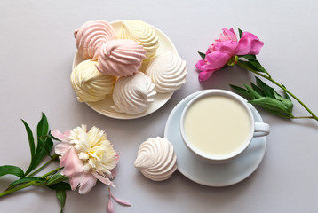 A cup of milk drink, vanilla marshmallows and fresh pink peonies on a light table. Summer still life