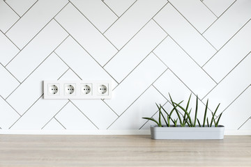 New kitchen. Working area with rosettes and indoor plants