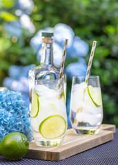 Fresh gin cocktails with lime in a garden