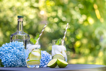 Gin tonic cocktails with lime and mint in the garden