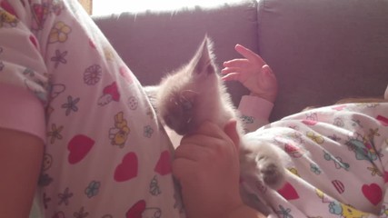 Girl playing with kitten