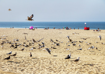 View to the coastline.