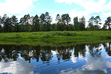 Summer nature on the river, sunny June day. Beautiful scenery on the pond.