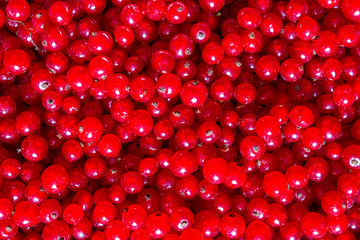 Red currant berries close-up of a flat lay top view with copy space, berry background