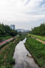 Jogging pathway near Han River