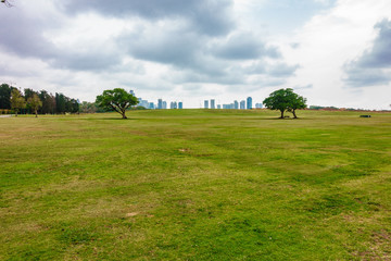 Fototapeta na wymiar Skyline seen from Yarkon Park, Tel Aviv, Israel