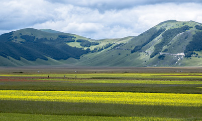 montagne castelluccio