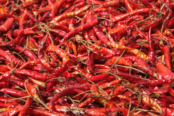 Drying chili peppers, closeup, Bokeo province, northern Laos.