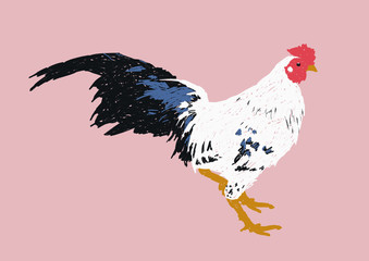 isolated cock illustration on pink background