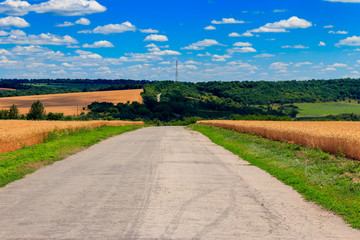 Asphalt country road through golden wheat fields and blue sky with white clouds