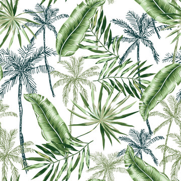 Green banana, palm trees, leaves with white background. Vector seamless pattern. Tropical jungle foliage illustration. Exotic plants greenery. Summer beach floral design. Paradise nature graphic