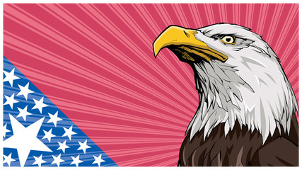 Fototapeta premium Bald Eagle Background
