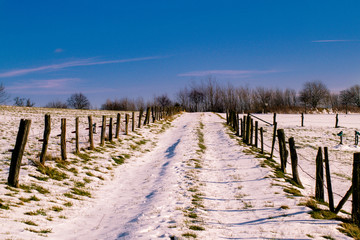 Feldweg Winter
