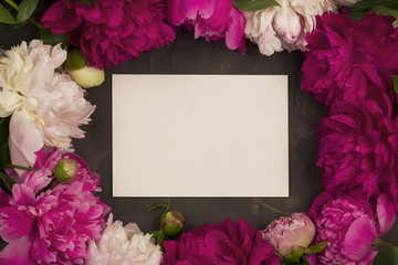 Greeting card with peony flowers on plaster background.