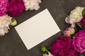 Greeting card with peony flowers on plaster background.