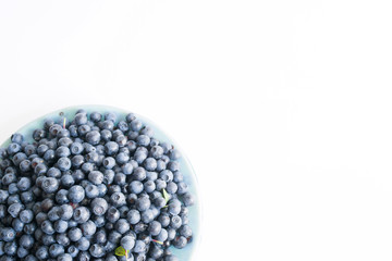Fresh forest blueberries on a blue plate on a white background close up, top view.