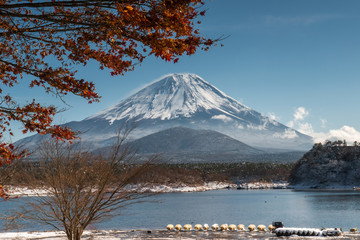 Naklejka premium Mount Fuji, Japan