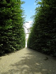 Path Walk in Maze Garden Labyrinth Bushes