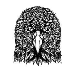 Eagle vector drawing on white background.Eagle tattoo art highly detailed in line art style.