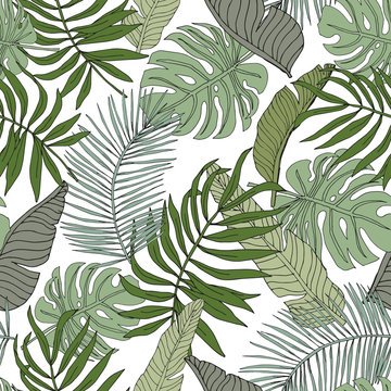 
Green banana, monstera, palm leaves with white background. Vector seamless pattern. Tropical jungle foliage illustration. Exotic plants greenery. Summer beach floral design. Paradise nature graphic
