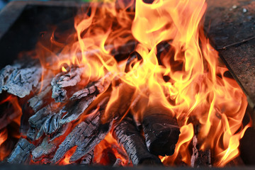 coal and fire flame