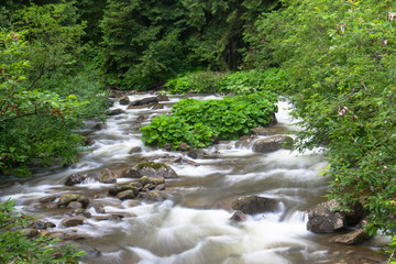 Fast mountain river on long exposure in summer