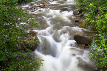 Fast mountain river on long exposure in summer