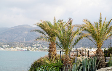 Tropical Landscape Holiday Travel Background Journey Summer Concept Flowers Crete Island Greece