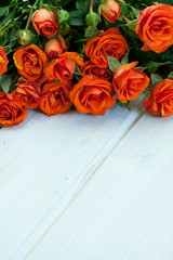 Bouquet of red roses on white.