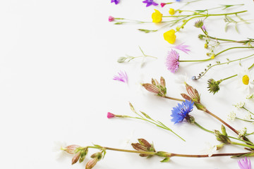 summer flowers on white paper background