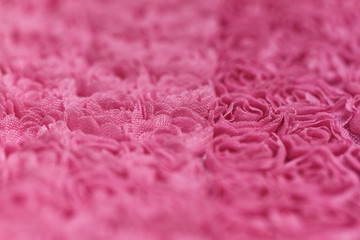 Pink rose background