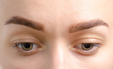 Obraz premium Female eyebrows brown eye shape skin female beauty nature