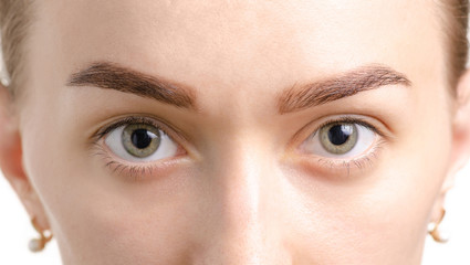 Female eyebrows brown eye shape skin female beauty nature
