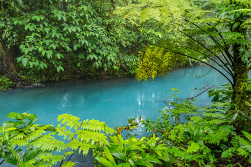 Rio Celeste river blue acid water in the forest
